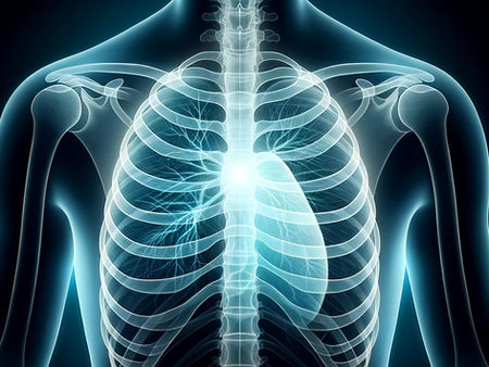 The Discovery of X-rays: Illuminating the Invisible