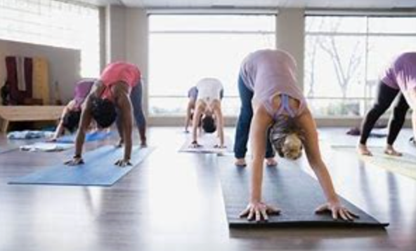 Gentle Yoga with Meditation - with Shane Robins