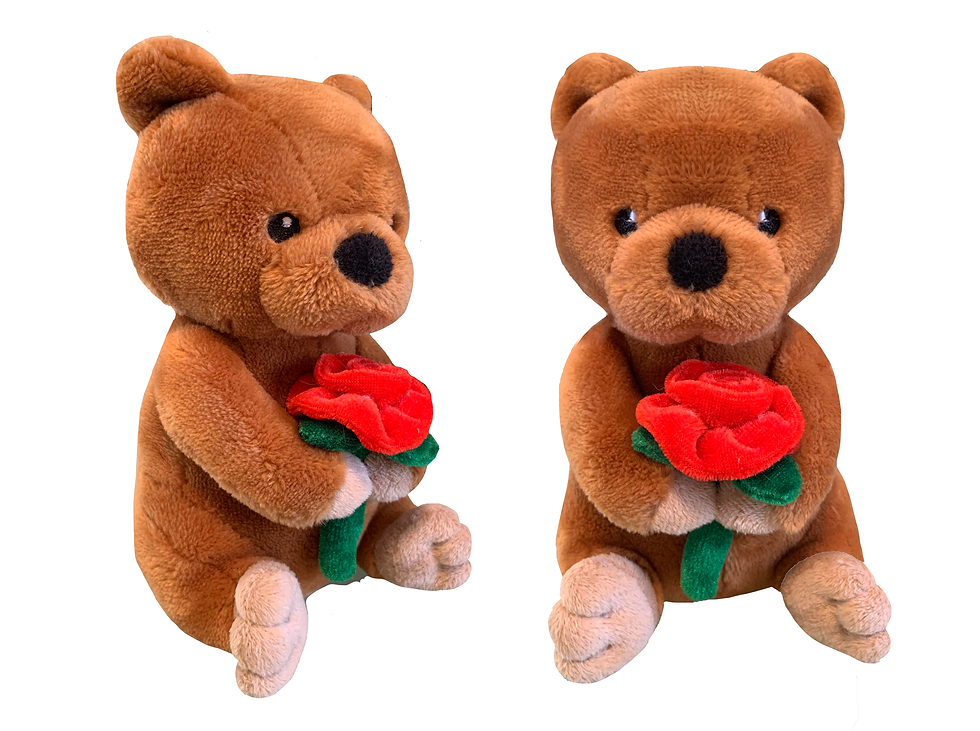 Target - Valentine's Day Sweet Sprouts  Bear