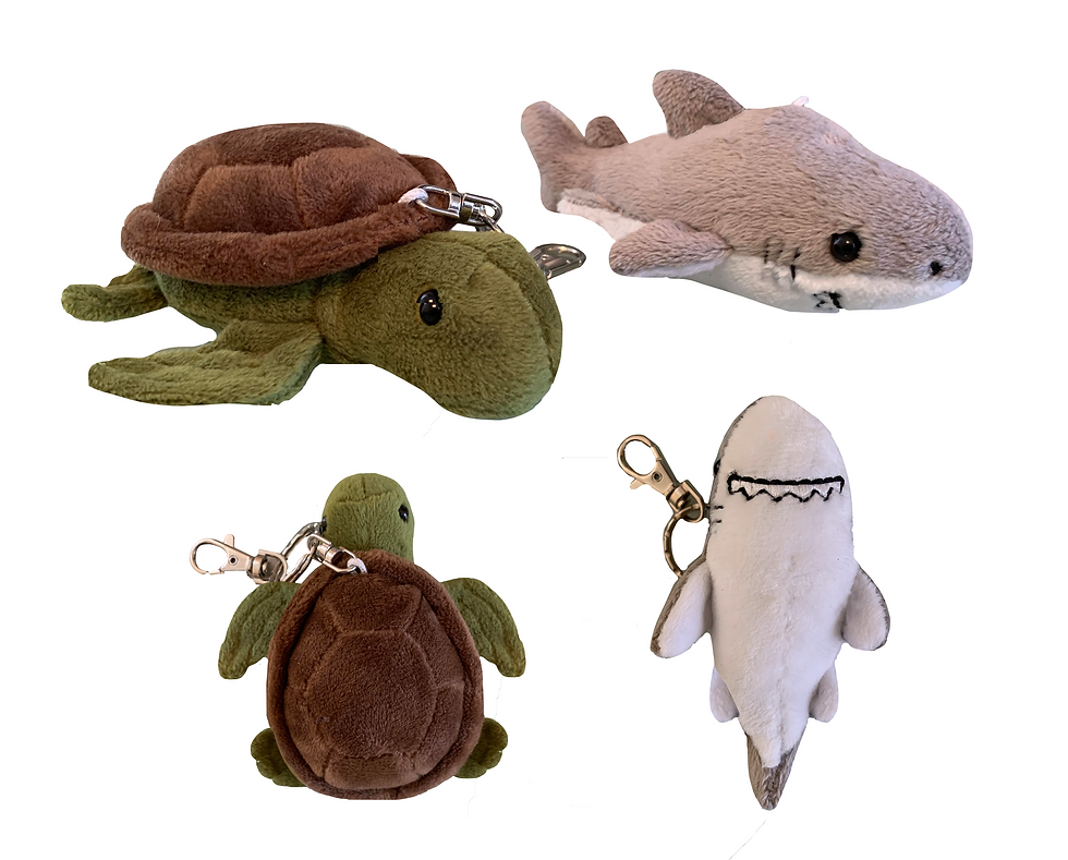 Monterey Bay Aquarium - Turtle & Shark Keychains