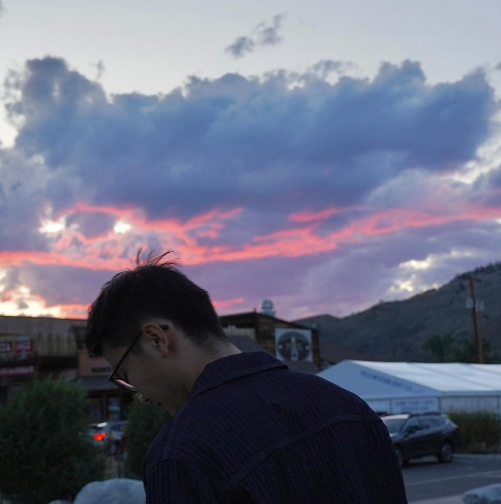 social-cat-instagram_instagram_6