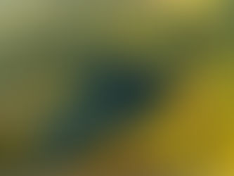 Cabins Near Cuyuna State Recreation Area (Best Places to Stay)