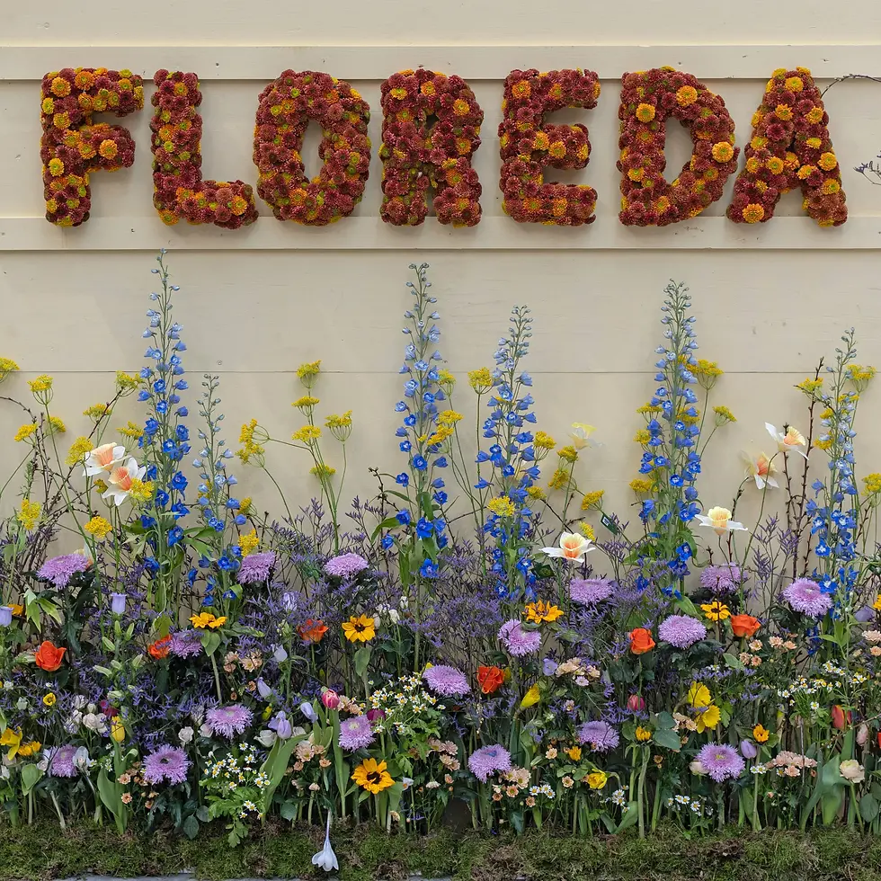 Floréda