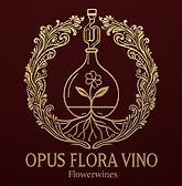 logo IDEA 6_edited_edited.png