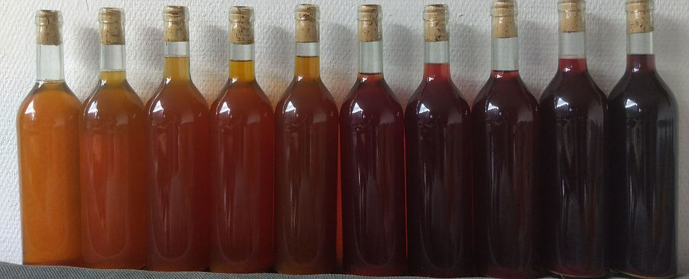 Colourspectrum O.F.V.Wine 