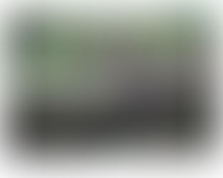 Citra Suara-Suara untuk Hari Esok Papua