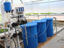 7 Common Questions About Auto-dosing in Hydroponics