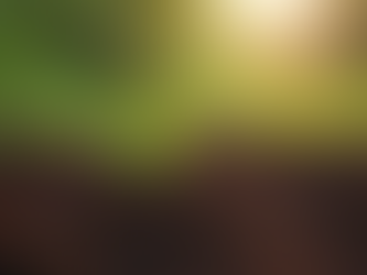 Boost Your Garden with Organic Fertilizer