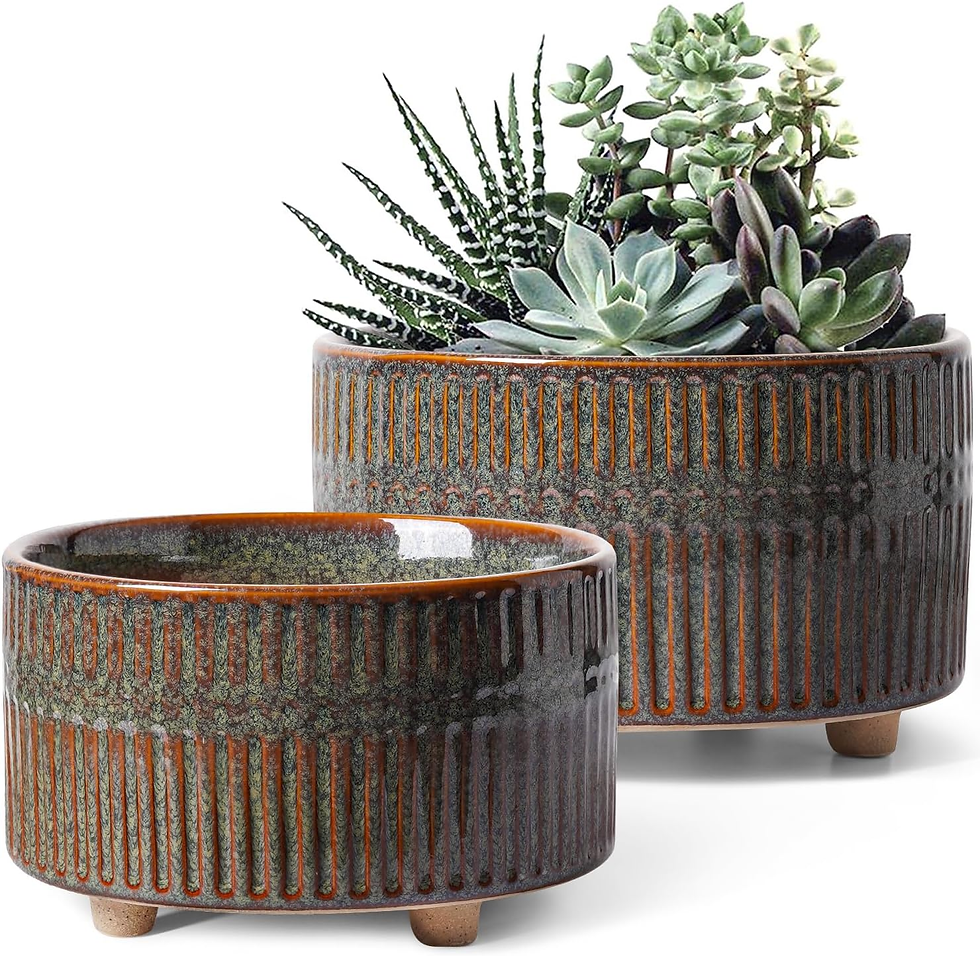 Plant Pots