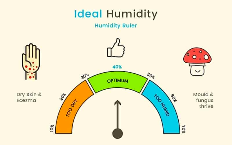 ideal humidity level