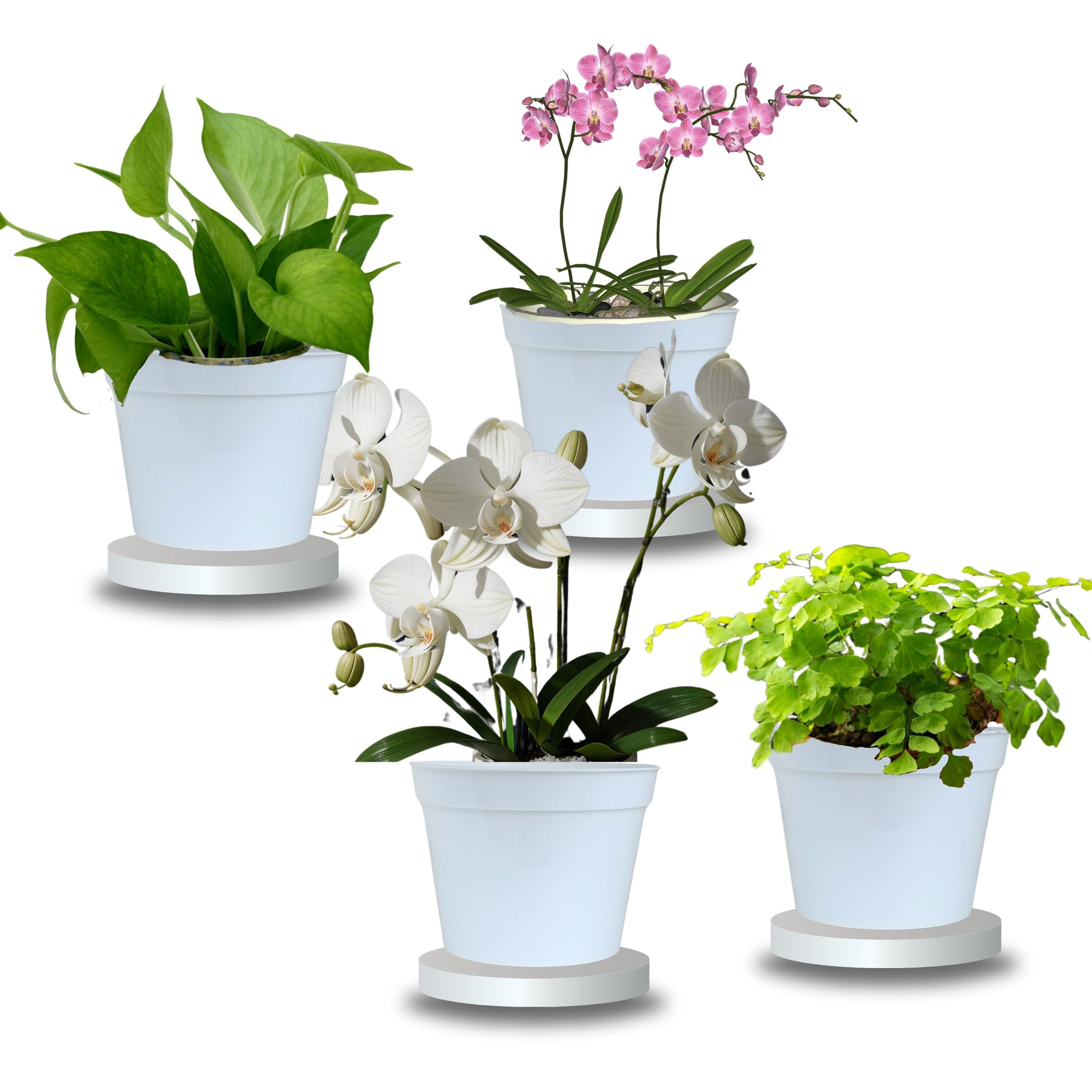 Hichika | 4X3 Nursery Pots | 3-9pcs. for Succulents, Orchids, Bonsai and Small H