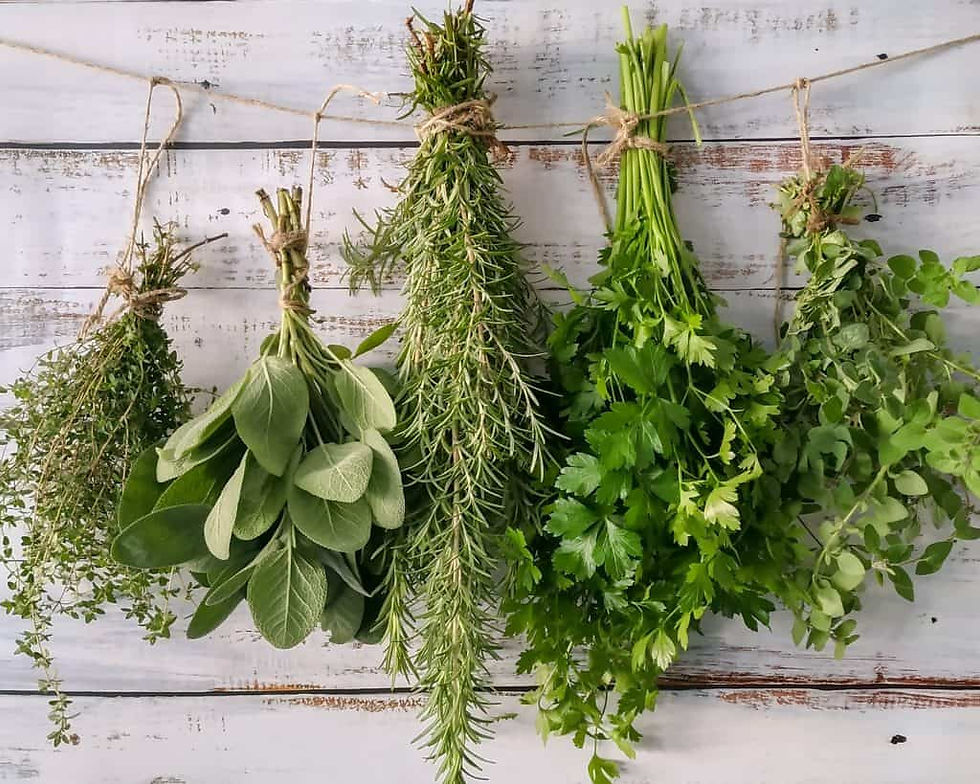 Drying herbs