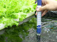 From Beginner to Pro: Unveiling the Best pH Meters for a Flawless Hydroponics System