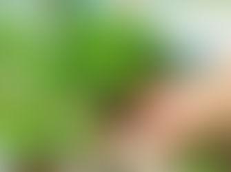 How to Choose the Best Net Pots for your Hydroponics System