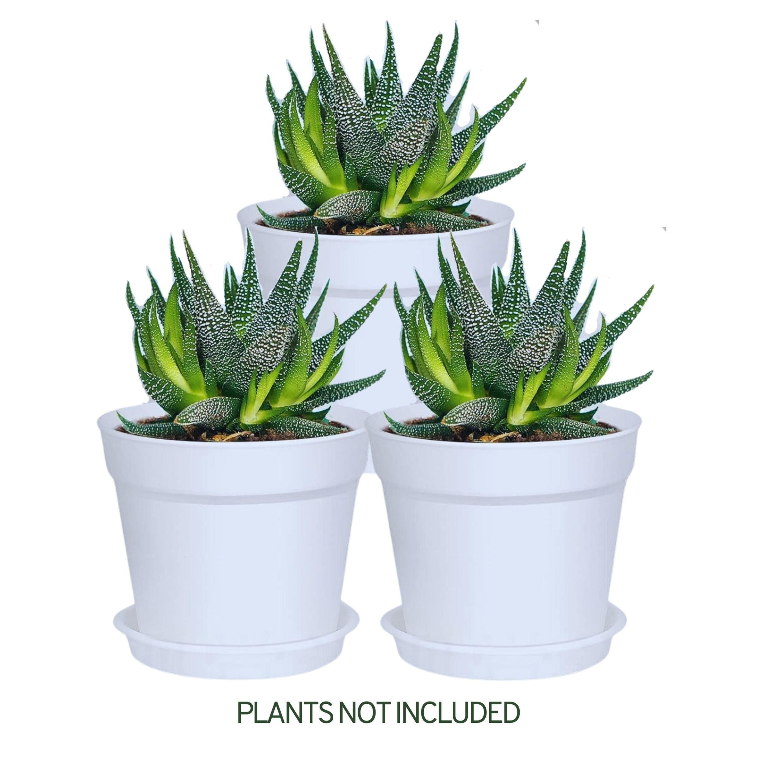 SwinDuck 4 x 3.4 inch White Plant Pots | 3 pcs.