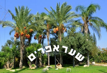 מושב שער אפרים