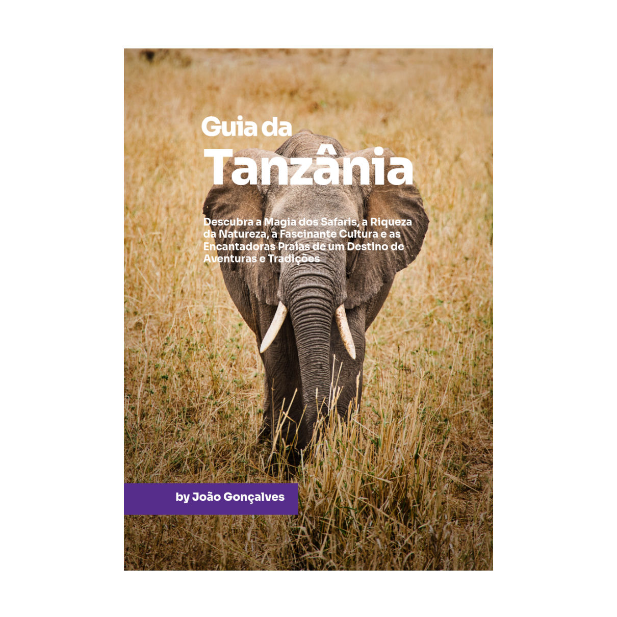 Guia da Tanzânia