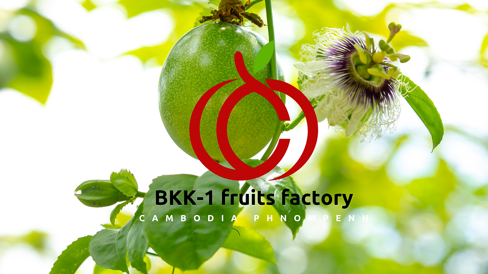 名称未設定 (Webサイト) (1).png