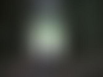 Living in the Mystery