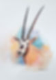 20190408_120818.jpeg