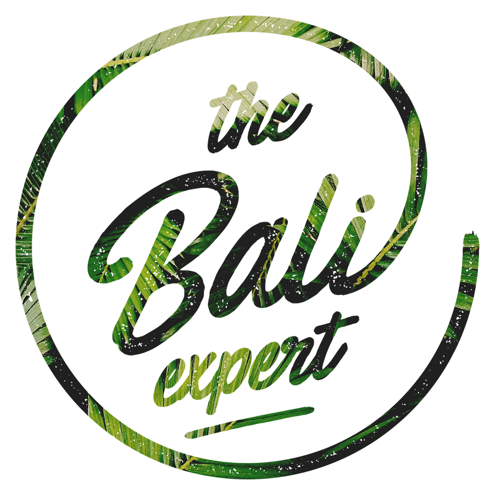 The Bali Expert.png