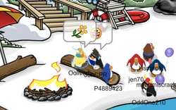 Making friends with flowers - penguin makes community smile.