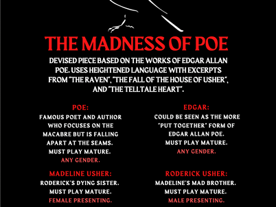 THE MADNESS OF POE