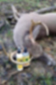 1620361_625831030787206_381724590_n