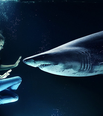 Nadar con tiburones