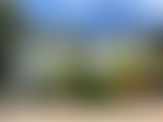 Queensland home exterior with Rockcote Armour Flex on render and Hamyes Solarshield on Linea weatherboards. 