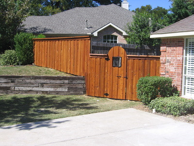 8215738.jpg