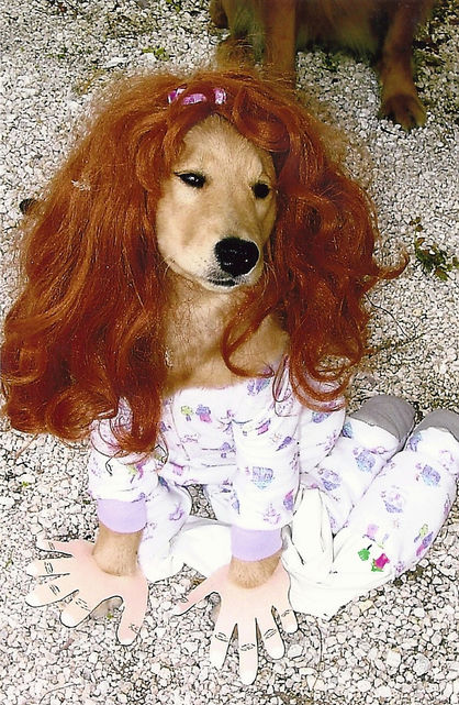 This is Ella - a pet belonging to Holly - owner of Harmony Home and Pet Care in Jupiter, FL