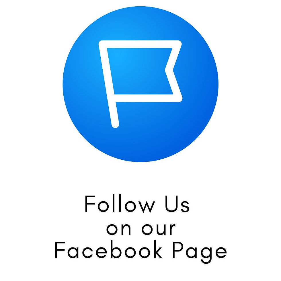 Facebook Page - Opulenz Website.jpg