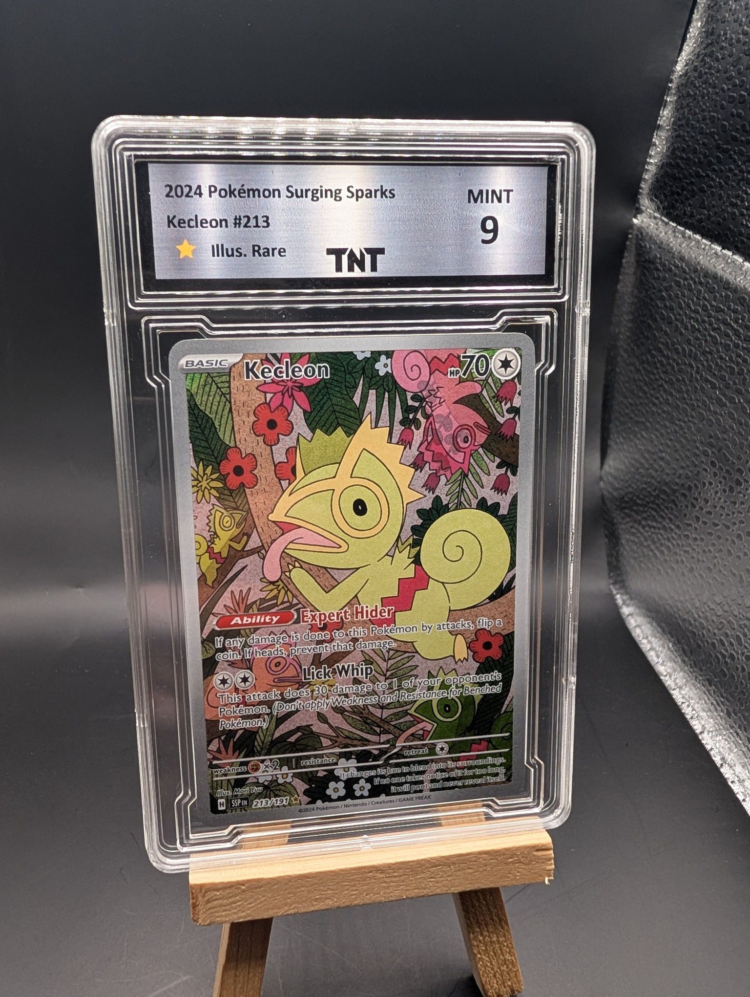Kecleon #213