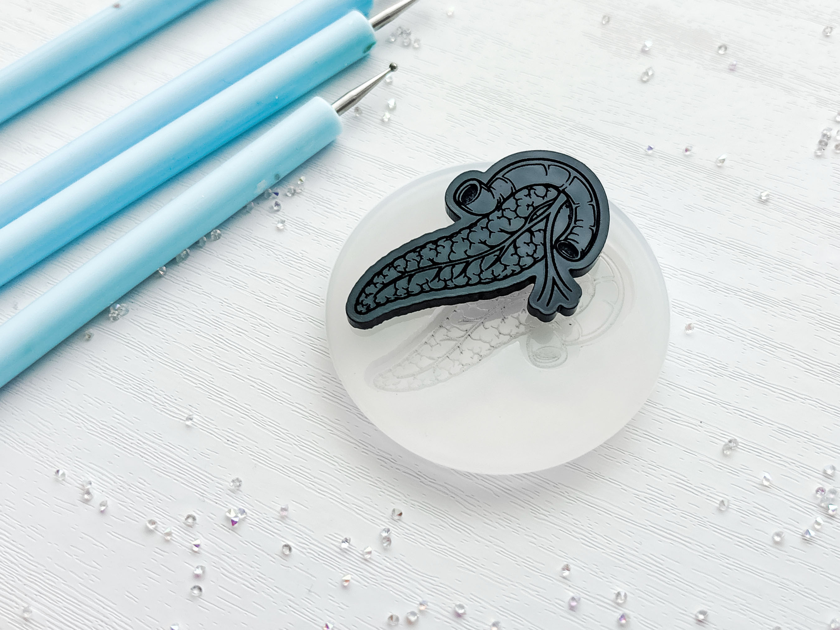 Anatomical Pancreas Silicone Mold