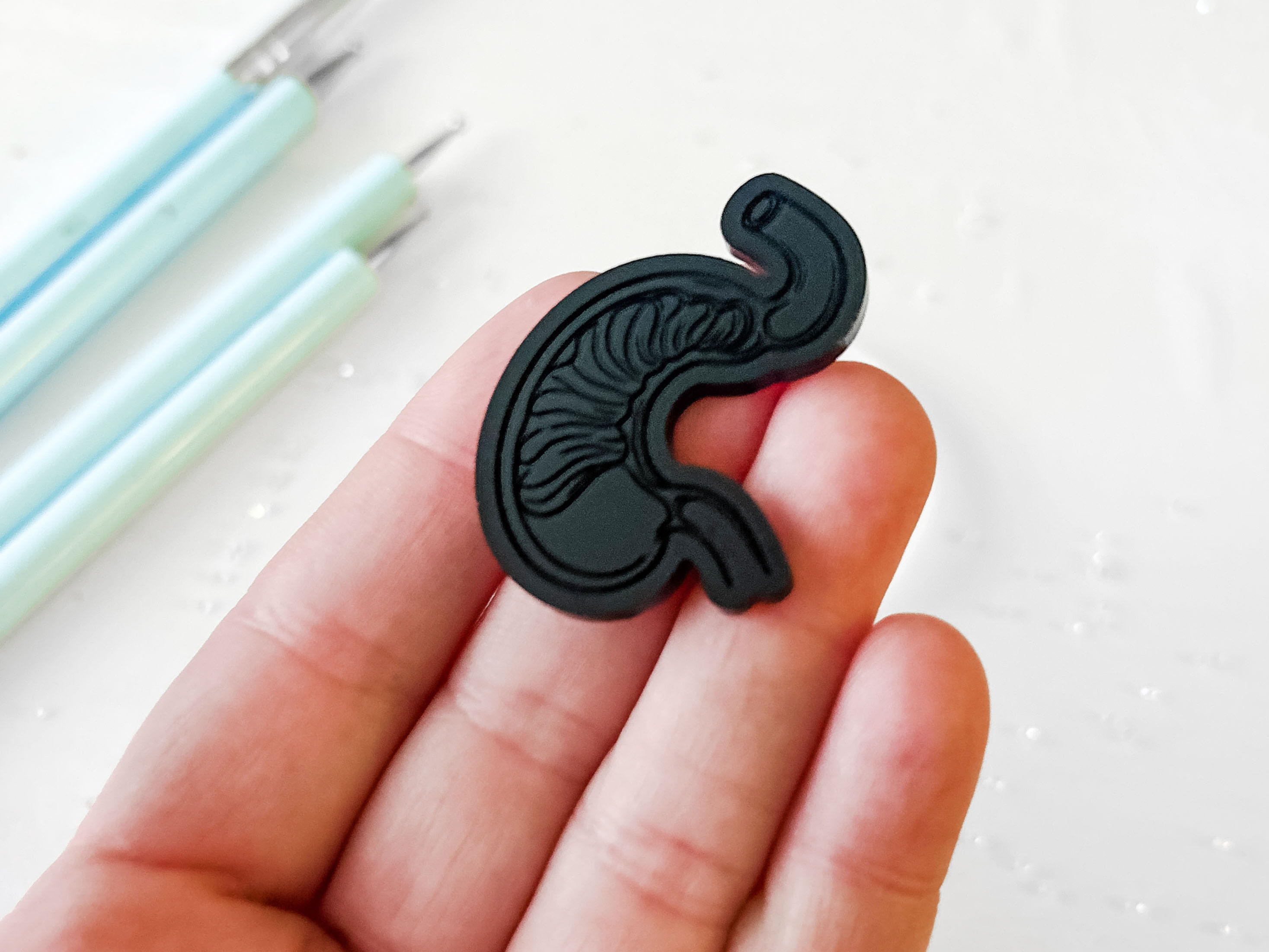 Anatomical Stomach Silicone Mold