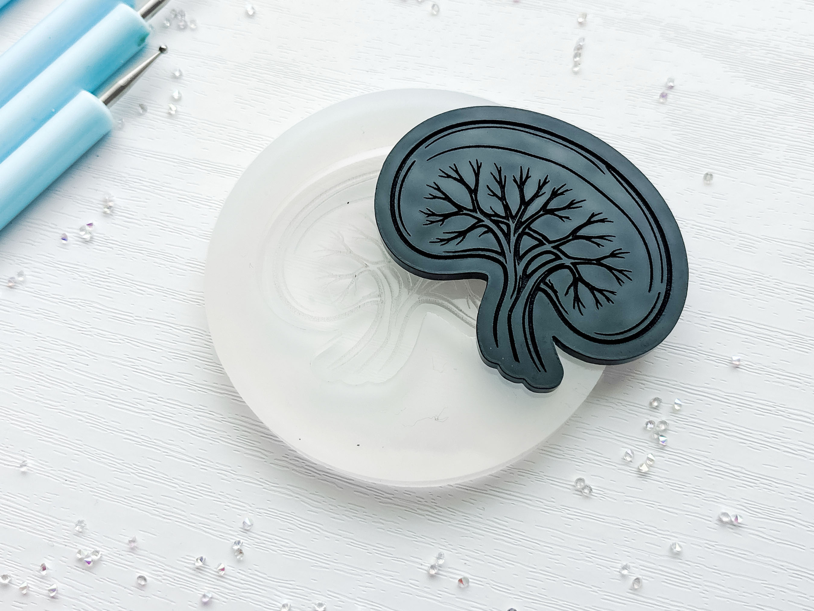 Anatomical Spleen Silicone Mold