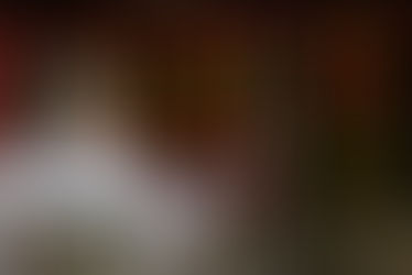 PT RIFAN FINANCINDO BERJANGKA - Bursa China menguat, Indeks Komposit Shanghai naik 0,17 persen