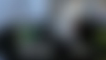 PT RIFAN FINANCNDO BANDUNG - Dolar AS Digencet Rupiah ke Rp 13.925