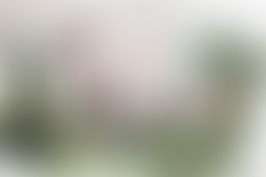 RIFANFINANCINDO BERJANGKA - Begini Cara Ilmuwan Menamai Dinosaurus