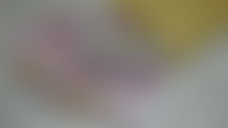 RIFAN FINANCINDO BERJANGKA - Istana: Gaji Kades Cs Bakal Rp 2 Juta hingga Rp 3,82 Juta