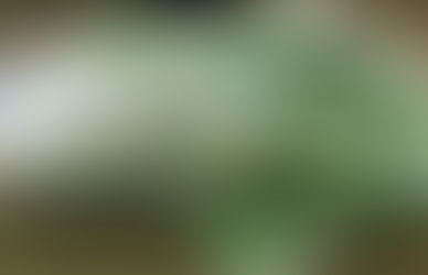 PT Rifan Financindo Berjangka - Euro Khawatirkan Penundaan Pengiriman Vaksin