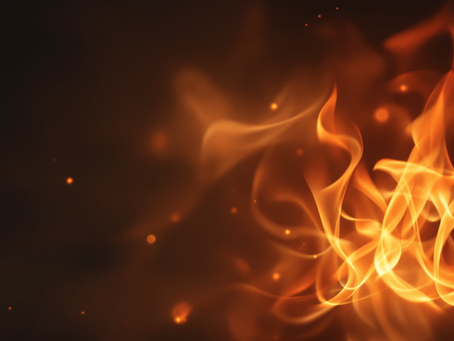 Formation en ligne « Barreur de feu » — Accès immédiat