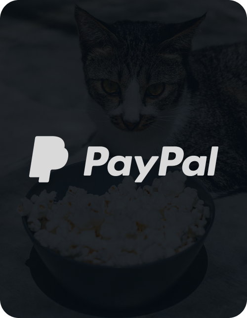 PayPal Card.png