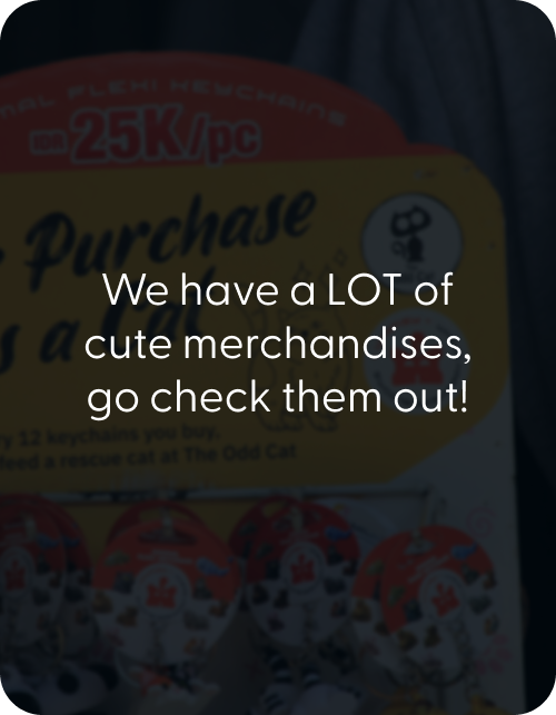 Shop Card 2.png