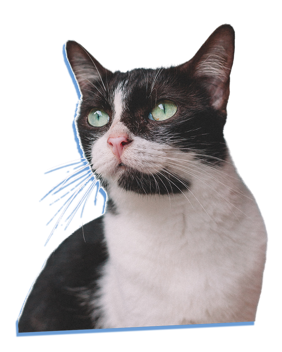 73 1.png