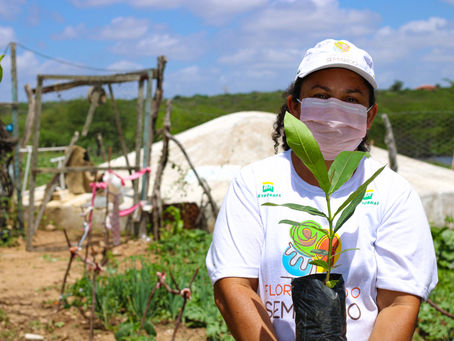 Ações do Florestando fortalecem a autonomia, a segurança alimentar e o empoderamento feminino