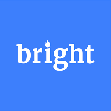 brightdata.png