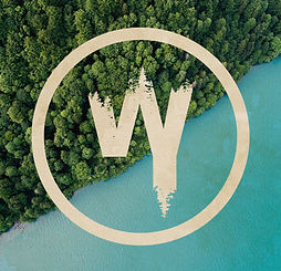 WY Logo.jpeg