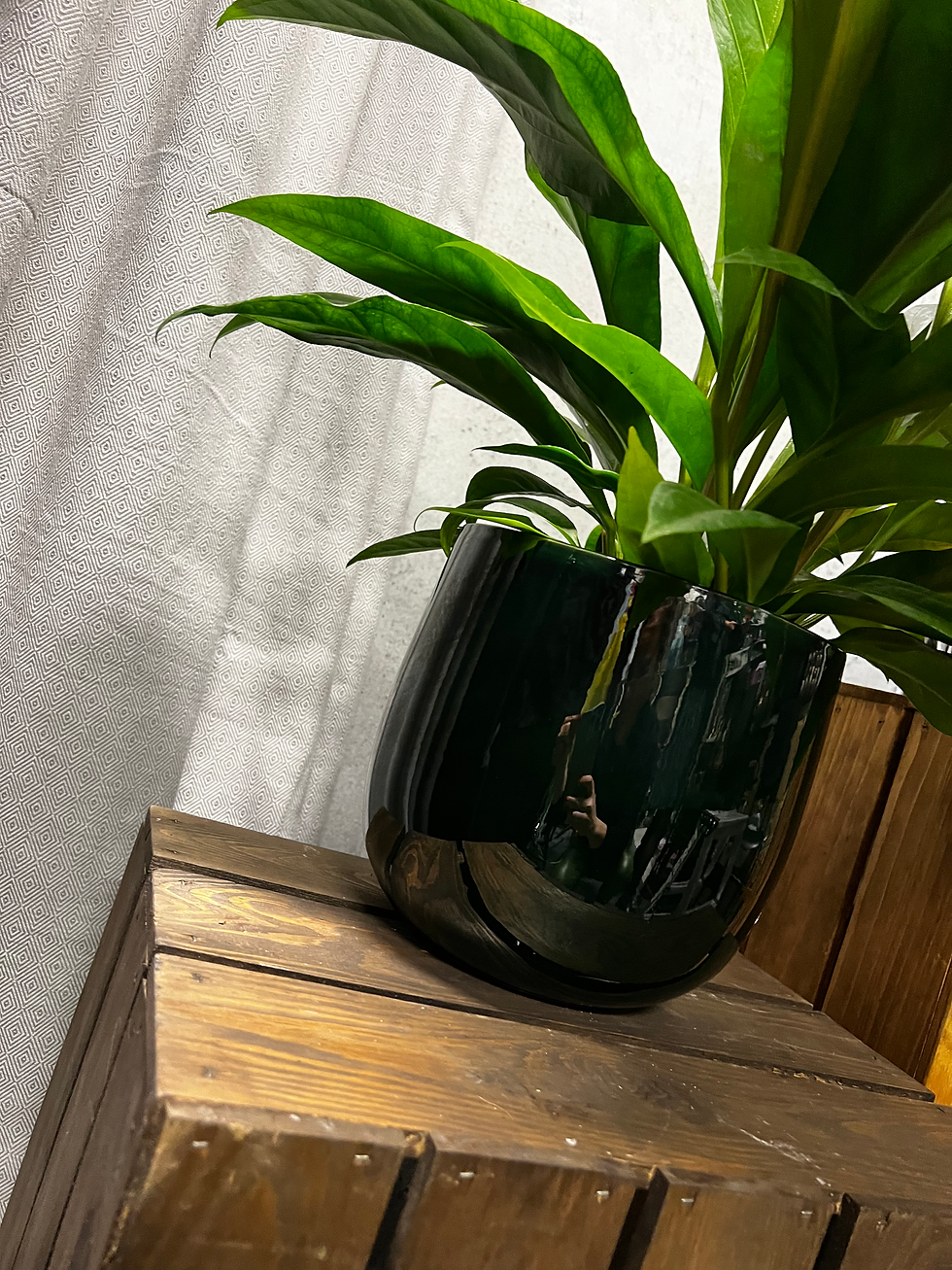 Sīktēls: Tumši zaļš puķu pods